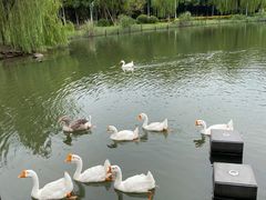 -杭州师范大学(下沙校区)