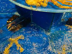 -三泉海中鲜海鲜加工零售广场(幸福时代店)