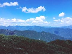 -牛背梁国家森林公园