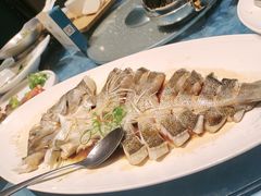-海派美食·家宴海鲜青岛菜·石锅鲽鱼头(东方城店)