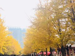-辽宁大学(崇山校区)
