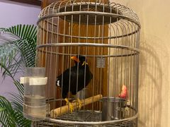 -杭州香格里拉·香宫中餐厅