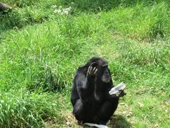 -上海野生动物园