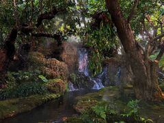 -Chom Cafe and Restaurant