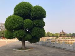 -建水文庙