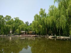 -玲珑塔公园