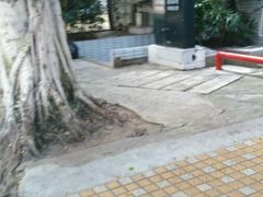 -广州市第一人民医院(院本部)