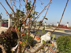 -滨海湖高尔夫球会