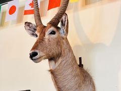 -普兰达德国餐厅·德式脆皮烤猪肘·自酿啤酒(观唐店)