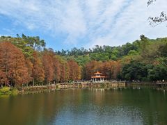 -深圳仙湖植物园