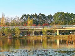 -白鹭湾湿地公园