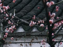 -沧浪亭