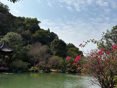 -云溪植物园