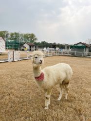 -太湖雪蚕桑文化园