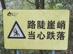 -铁山坪森林公园