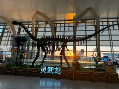 -银川河东国际机场