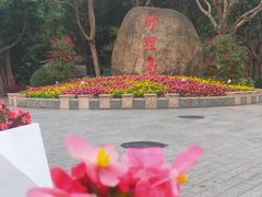 -野狸岛