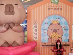 -深圳龙华星河COCO City(民治店)