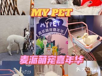 麦派萌宠嘉年华就在杭州市中心的湖滨88商场