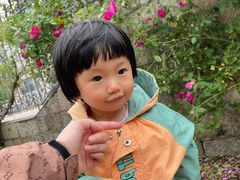 -嘉定紫藤园