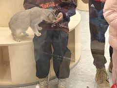 -银座和谐广场