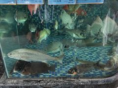 -寻味顺德·珍之宝酒楼(银钻店)