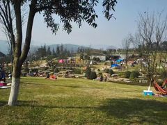 -铁山坪森林公园