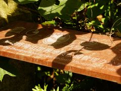 -黑河国家森林公园