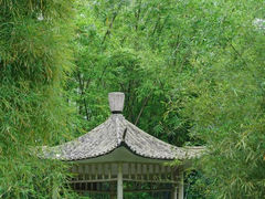 -晓港公园