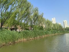 -南翠屏公园