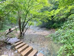 -关门山森林公园