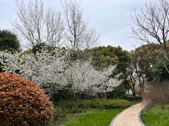 -同里国家湿地公园