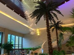 -常州环球恐龙城维景国际大酒店