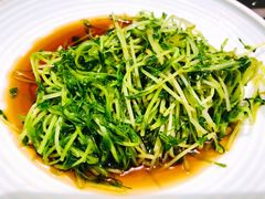 酒香炒豆苗-老头儿油爆虾·知味杭州(爱琴海购物中心)