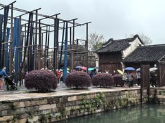 -乌镇景区