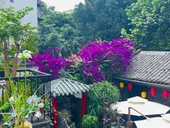 -院8里·少城记忆老川菜(宽窄巷子店)