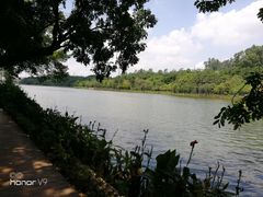 -南国桃园旅游度假区