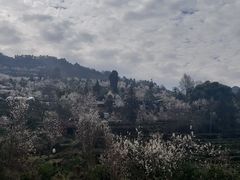 -樱桃山旅游景区