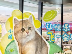 -福田卓悦INTOWN购物中心