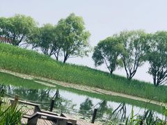 -太湖湖滨国家湿地公园-停车场