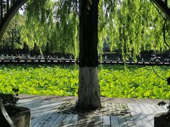 -四川大学(望江校区)