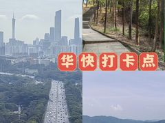 -火炉山森林公园