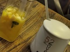 -吉丁鸟咖·异宠·寄养