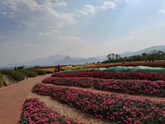 -抚仙湖禄充风景区
