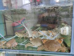 -凯华海鲜火锅·传承三十六年