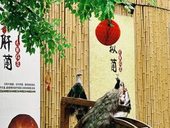 -大理董·董家小厨野生菌火锅(古城旗舰店)