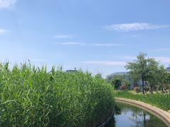 -鹦鹉洲湿地公园