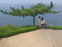 -养马岛旅游度假区