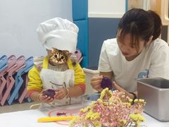 -小象托育