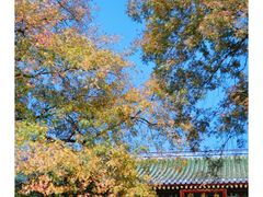 -灵谷景区